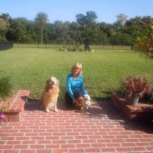 Meet your Posher, Dawn